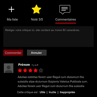 Capture d'érans espace commentaire